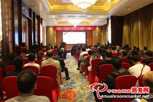 2016中國合肥國際食用菌新產(chǎn)品新技術(shù)博覽會(huì)暨市場流通峰會(huì)